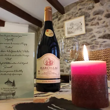 ベッド・アンド・ブレックファスト Le Manoir Des Pelies, De Charme, Jacuzzi, Piscine, Riviere 3*