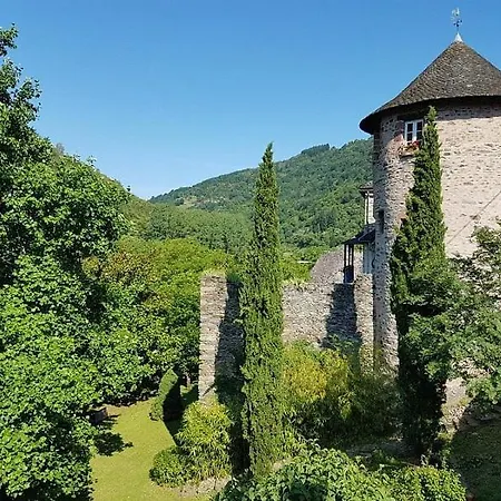 Le Manoir Des Pelies Et D'hotes De Charme A 7kms De Spa, Piscine, Riviere, Thermes De Cransac 3* Conques