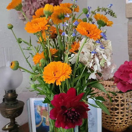 Le Manoir Des Pelies Et D'hotes De Charme A 7kms De Spa, Piscine, Riviere, Thermes De Cransac 3* Conques