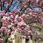 Bed and Breakfast Le Manoir Des Pelies, De Charme, Jacuzzi, Piscine, Riviere Conques