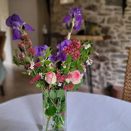 Le Manoir Des Pelies Et D'hotes De Charme A 7kms De Spa, Piscine, Riviere, Thermes De Cransac 3*
