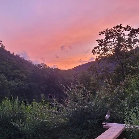 Le Manoir Des Pélies Et D'hôtes De Charme à 7kms De Spa, Piscine, Rivière, Thermes De Cransac 3*