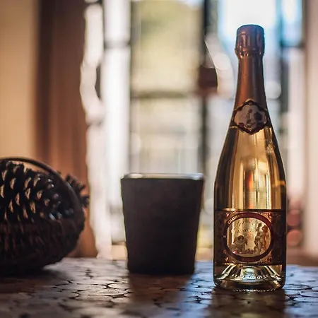 Le Manoir Des Pelies Et D'hotes De Charme A 7kms De Spa, Piscine, Riviere, Thermes De Cransac Bed & Breakfast