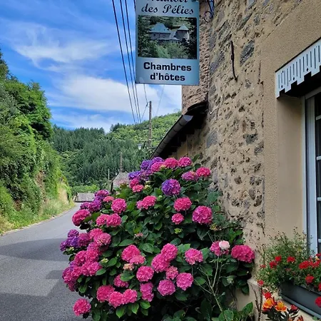 Le Manoir Des Pélies Et D'hôtes De Charme à 7kms De Spa, Piscine, Rivière, Thermes De Cransac
