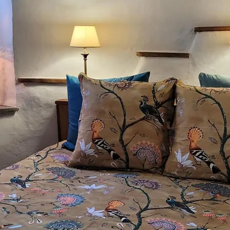 Le Manoir Des Pelies, De Charme, Jacuzzi, Piscine, Riviere コンク