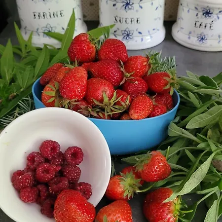 Manoir Des Pelies Oda ve Kahvaltı *
