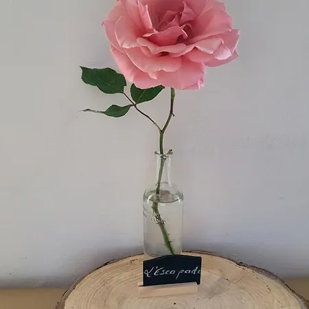 Le Manoir Des Pélies Et D'hôtes De Charme à 7kms De Spa, Piscine, Rivière, Thermes De Cransac Couette-café Conques