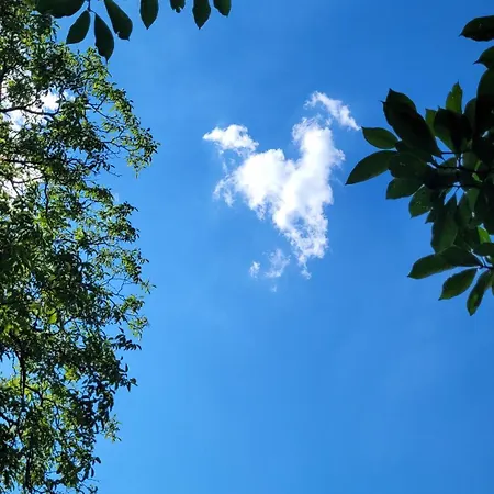 Le Manoir Des Pelies Et D'hotes De Charme A 7kms De Spa, Piscine, Riviere, Thermes De Cransac Bed & Breakfast 3*