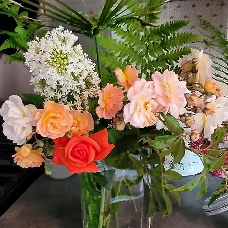 Le Manoir Des Pelies Et D'hotes De Charme A 7kms De Spa, Piscine, Riviere, Thermes De Cransac Bed & Breakfast Conques