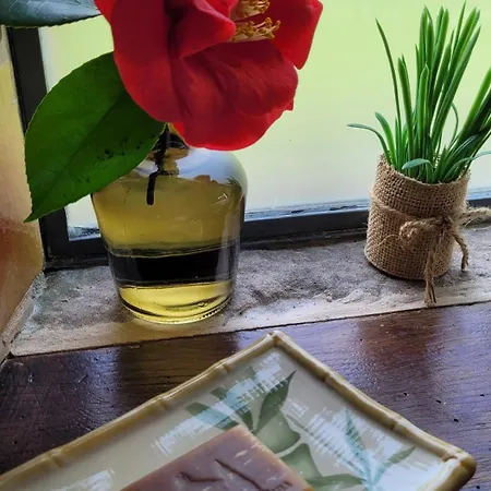 Couette-café Le Manoir Des Pélies Et D'hôtes De Charme à 7kms De Spa, Piscine, Rivière, Thermes De Cransac Conques