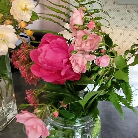 Le Manoir Des Pélies Et D'hôtes De Charme à 7kms De Spa, Piscine, Rivière, Thermes De Cransac Couette-café