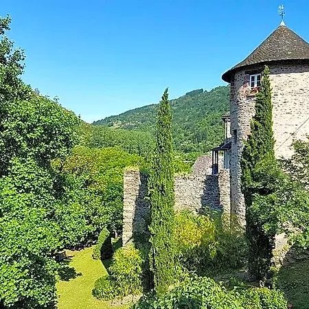 Le Manoir Des Pelies, Maison D'Hotes De Charme, Climatisation, Jacuzzi, Piscine, Riviere, Canoes, Pedalos, Ping-Pong Conques