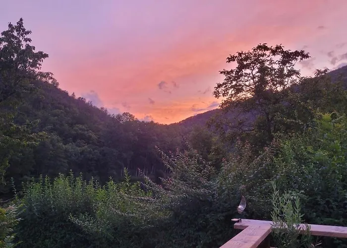 Le Manoir Des Pélies Et D'hôtes De Charme à 7kms De Spa, Piscine, Rivière, Thermes De Cransac 3*