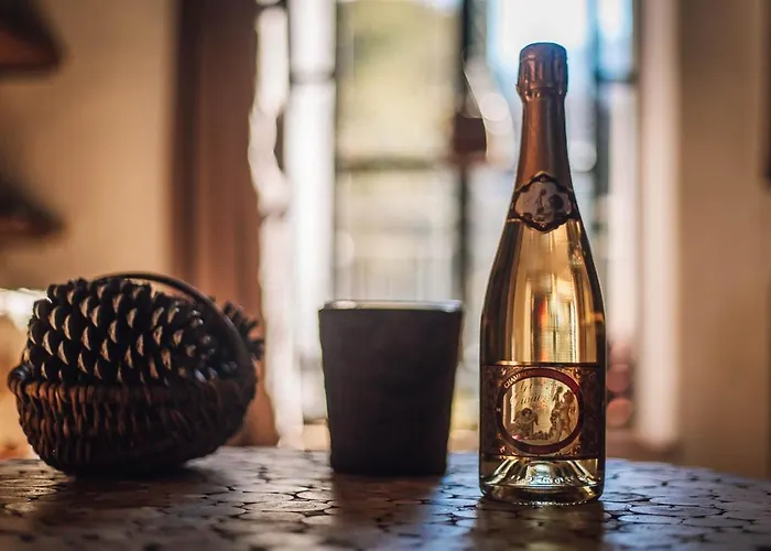 Le Manoir Des Pélies Et D'hôtes De Charme à 7kms De Spa, Piscine, Rivière, Thermes De Cransac Couette-café