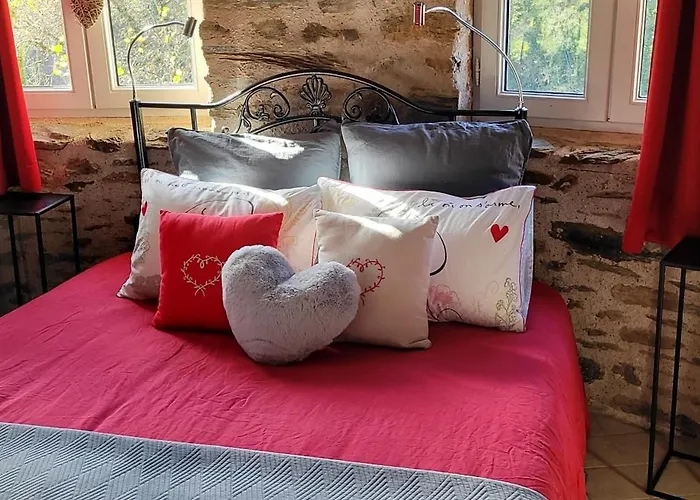 Le Manoir Des Pélies Et D'hôtes De Charme à 7kms De Spa, Piscine, Rivière, Thermes De Cransac 3* Conques