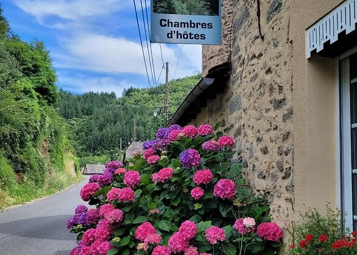 Le Manoir Des Pélies Et D'hôtes De Charme à 7kms De Spa, Piscine, Rivière, Thermes De Cransac