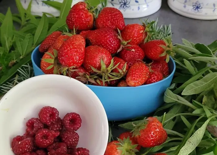 Le Manoir Des Pélies Et D'hôtes De Charme à 7kms De Spa, Piscine, Rivière, Thermes De Cransac Couette-café 3*