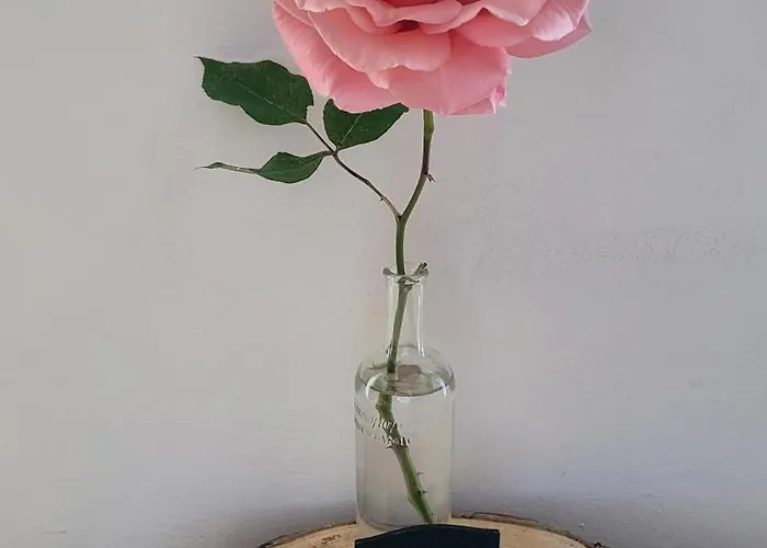 Le Manoir Des Pélies Et D'hôtes De Charme à 7kms De Spa, Piscine, Rivière, Thermes De Cransac Couette-café Conques