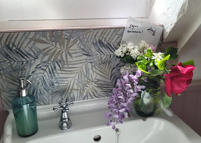 Le Manoir Des Pélies Et D'hôtes De Charme à 7kms De Spa, Piscine, Rivière, Thermes De Cransac Conques