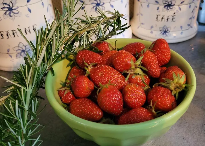 Le Manoir Des Pélies Et D'hôtes De Charme à 7kms De Spa, Piscine, Rivière, Thermes De Cransac Alojamento de Acomodação e Pequeno-almoço 3*