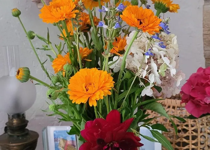 Le Manoir Des Pélies Et D'hôtes De Charme à 7kms De Spa, Piscine, Rivière, Thermes De Cransac 3* Conques