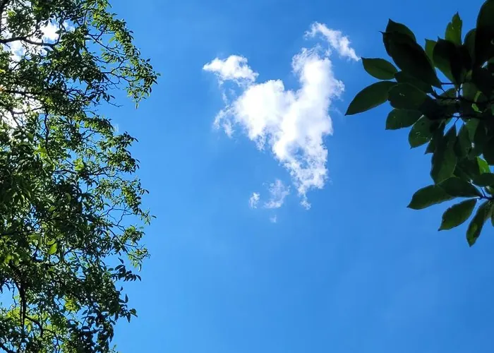 Le Manoir Des Pélies Et D'hôtes De Charme à 7kms De Spa, Piscine, Rivière, Thermes De Cransac Couette-café 3*