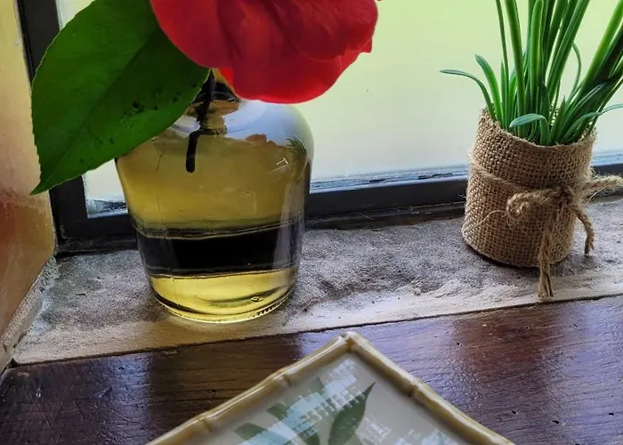 Couette-café Le Manoir Des Pélies Et D'hôtes De Charme à 7kms De Spa, Piscine, Rivière, Thermes De Cransac Conques